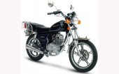 2010 Giantco Bronco 125 photo